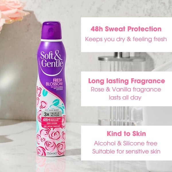 DNR Soft & Gentle Aerosol  Fresh Blossom 250Ml