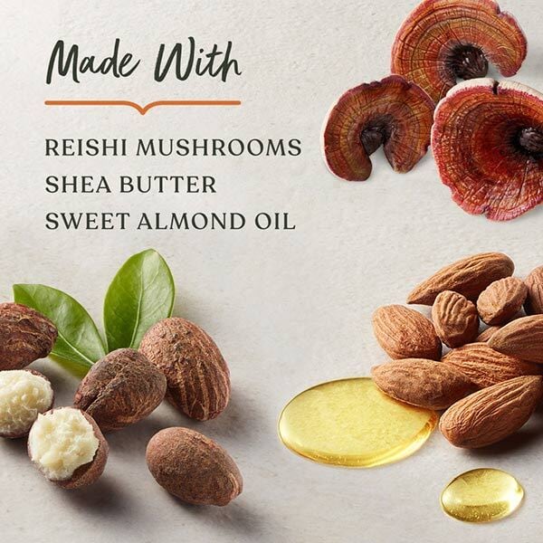 Sanctuary Spa Wellness Sleep Balm 12g