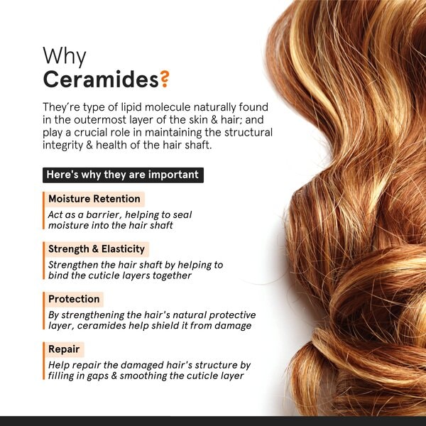 Minimalist Frizz Control Complex Hair Serum 50ML