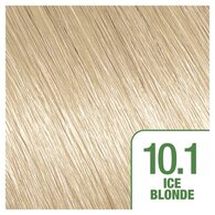 Garnier Nutrisse Permanent Hair Dye Ice Blonde 10.1