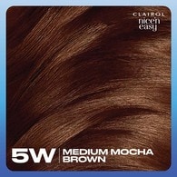 Clairol Nice'n Easy Hair Dye 5W Medium Mocha Brown