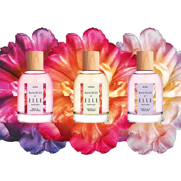 DNR Elle Naturelle Indra Eau De Parfum 100Ml