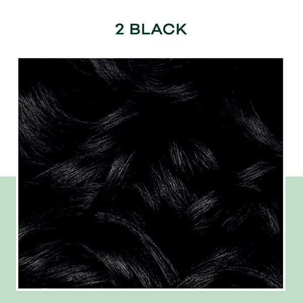 Clairol Natural Instincts Semi-Permanent Hair Dye 2 Black