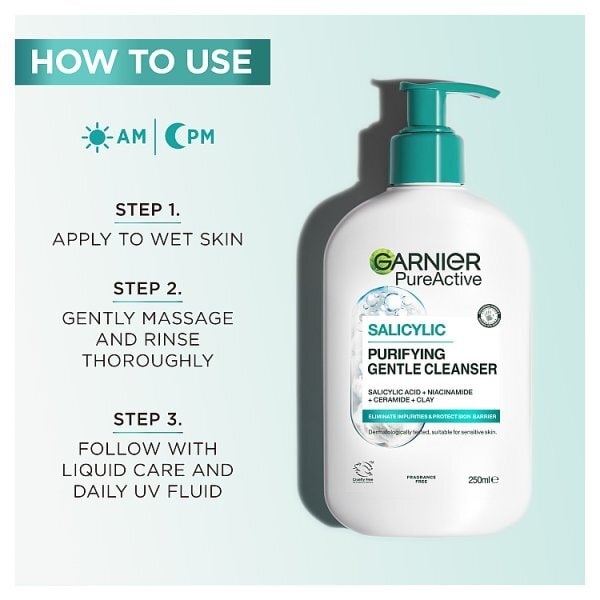 Garnier Salicylic Purifying Gentle Cleanser 250ml