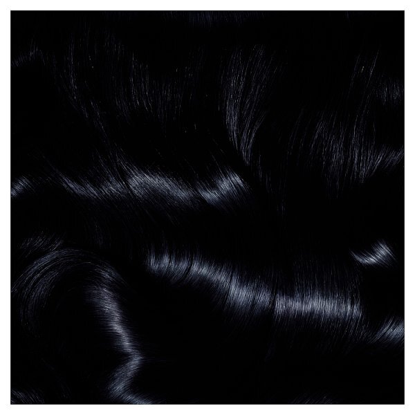 Garnier Olia 1.10 Black Sapphire Permanent Hair Dye