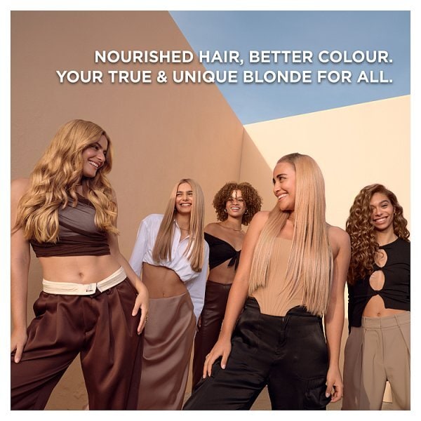 Garnier Nutrisse BlondeLift UL1 Chestnut Blonde Permanent Hair Dye