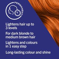 LIVE Colour + Lift Permanent Copper Hair Dye Tangerine Twist