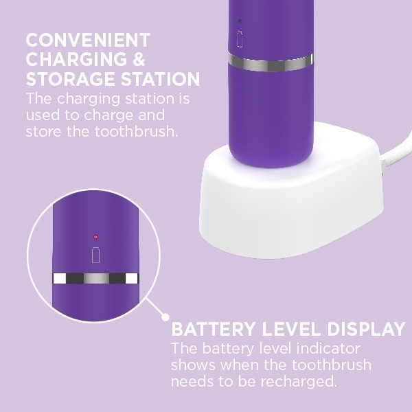 S/D PROCARE PURPLE HANDLE PURPLE PASTE