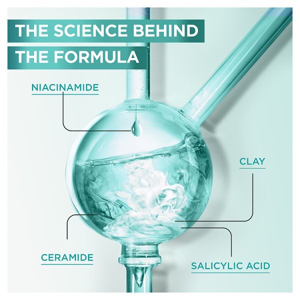 Garnier Salicylic Purifying Gentle Face Cleanser with Salicylic Acid Niacinamide & Ceramides 250ml