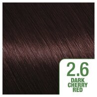 Garnier Nutrisse Ultra Permanent Hair Dye Dark Cherry 2.6