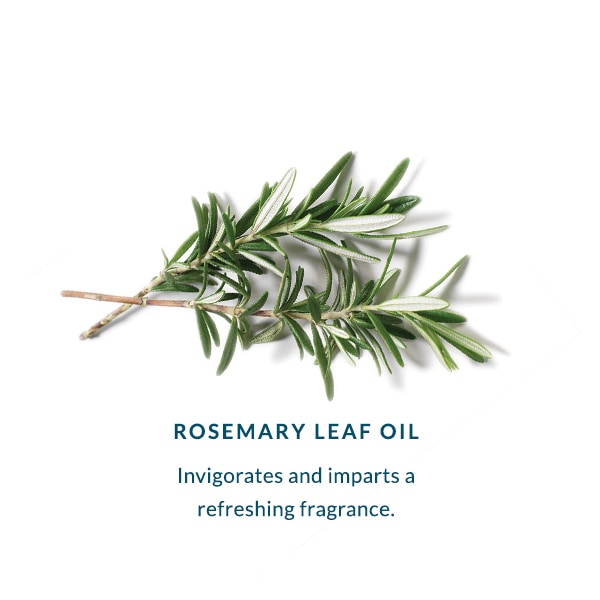 DHC Deep Cleansing Oil 200ml