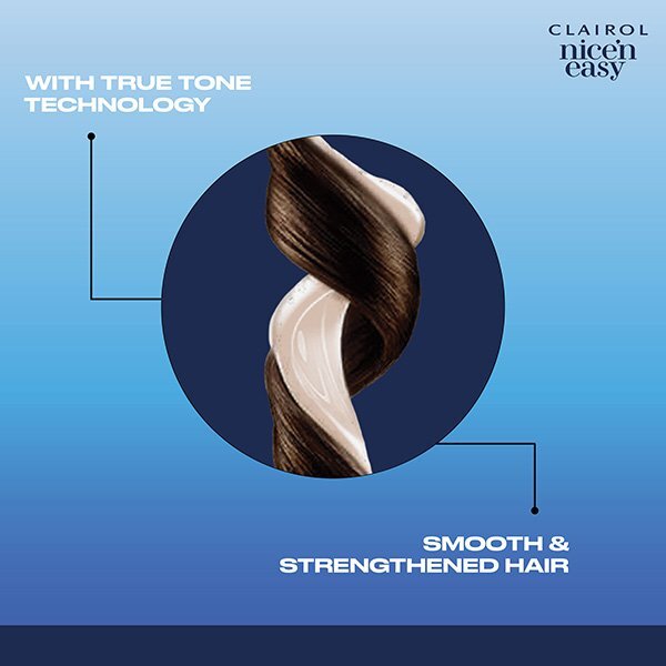 Clairol Nice'n Easy Hair Dye 2 Black