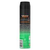 Lynx Deodorant Bodyspray Aerosol Jungle Fresh 250ml