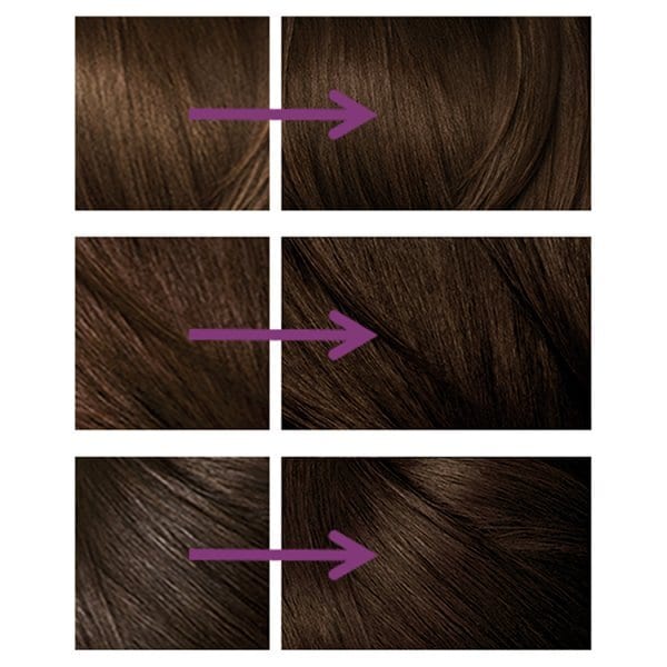 DNR Clairol Nice'n Easy No Ammonia Hair Dye, 79 Dark Brown