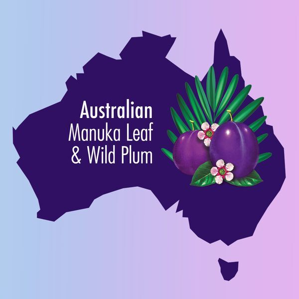 DNR Aussie Blonde Hydration Purple Shampoo 290ml