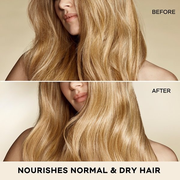 Pantene Pro-V Moisture Recharge Shampoo 500M