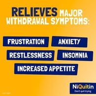 NiQuitin Mint 2mg Lozenges, 132 Lozenges- Quit Smoking Aid
