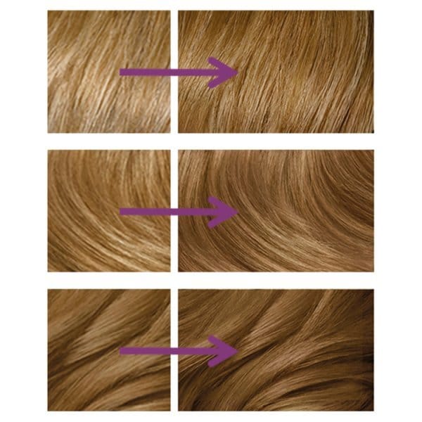DNR Clairol Nice'n Easy No Ammonia Hair Dye, 73 Ash Blonde