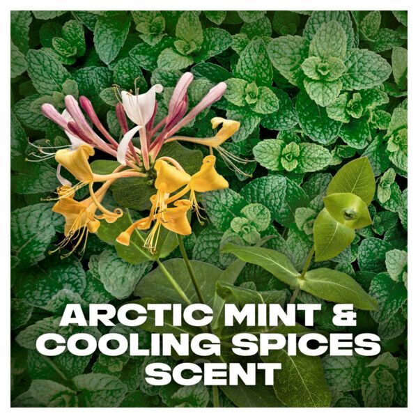 Lynx Sport Arctic Mint & Cooling Spices Recharge bodyspray