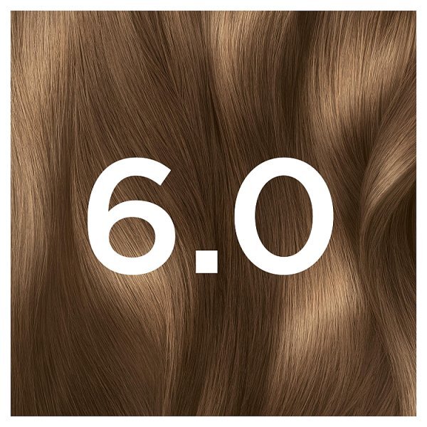 Garnier Olia 6.0 Light Brown Permanent Hair Dye