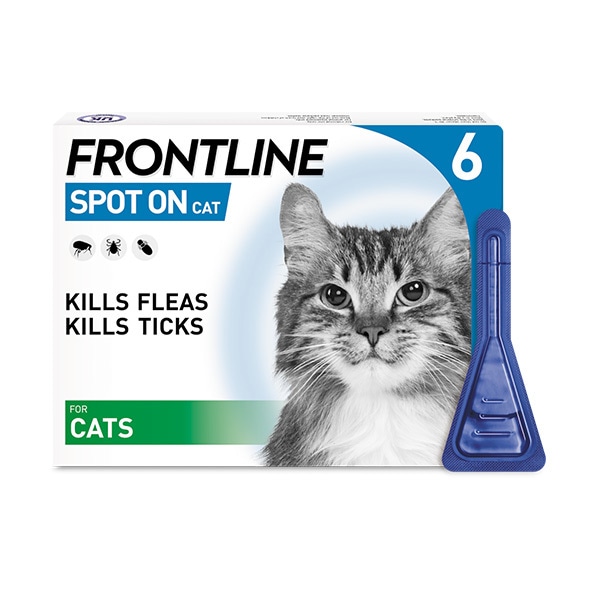Frontline Spot On Cat - 6 Pippettes