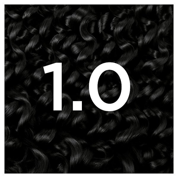 Garnier Olia 1.0 Deep Black Permanent Hair Dye