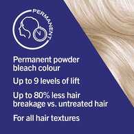 Live Powder Bleach Bold Blonde Permanent Hair Colour 00P