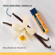 Burt's Bees® 100% Natural Origin Lip Balm Vanilla 4.25g