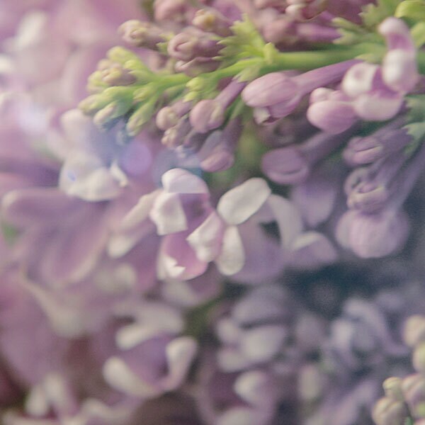 DNR Gucci Guilty Eau de Parfum For Her 30ml