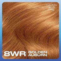 Clairol Nice'n Easy Hair Dye 8WR Golden Auburn