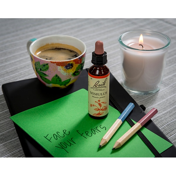 Bach Flower Remedy Mimulus 20ml