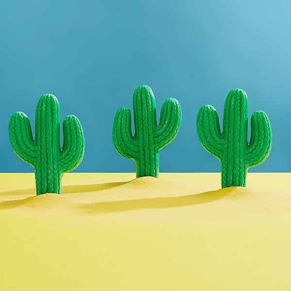 Superdrug Paradise Cactus Lime Soap 190g