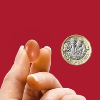Seven Seas Cod Liver Oil & Multivitamins 30 Caps