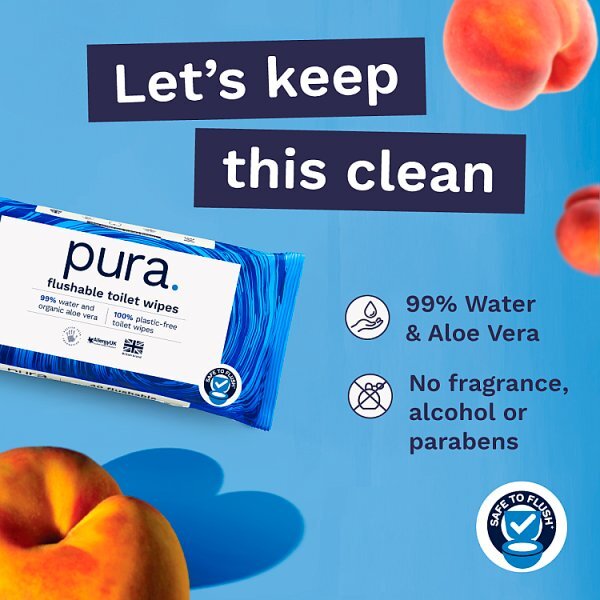 DNR Pura Premium Flushable Moist Toilet Tissue Wipes, 40 Wipes