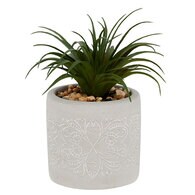 Superdrug Green Artificial Plant in Stone Pot