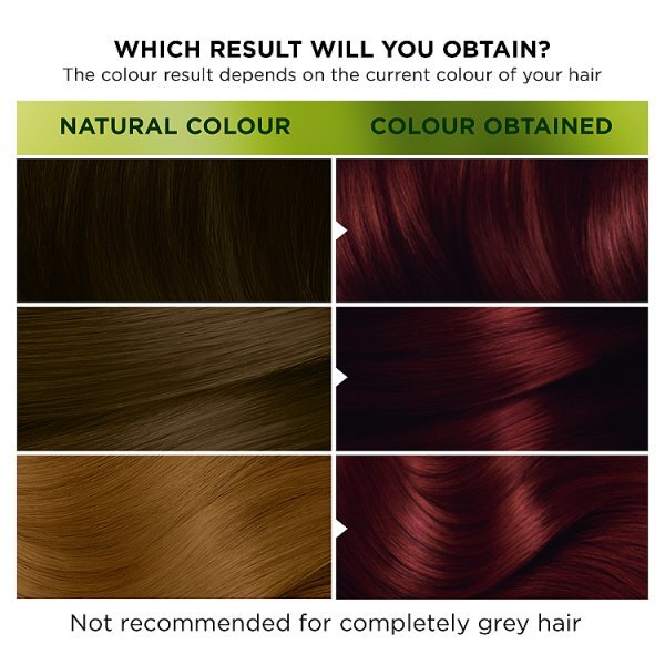 Garnier Nutrisse 2.6 Dark Cherry Red Permanent Hair Dye