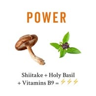 Grass & Co. Power Shiitake Mushrooms Capsules