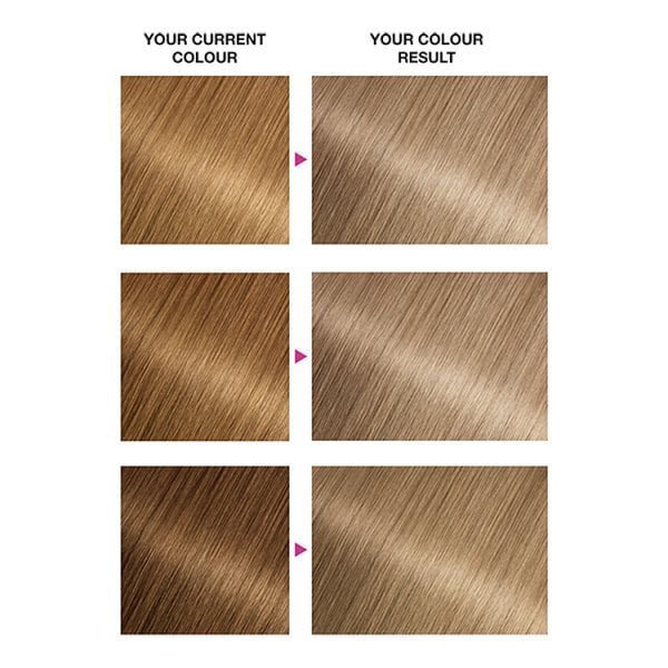 Garnier Nutrisse 9 Light Blonde Permanent Hair Dye