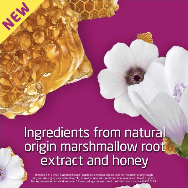 Bronchostop 5 In 1 Pastilles X20