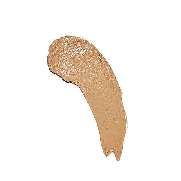 Revolution Fast Base Foundation Stick - F10