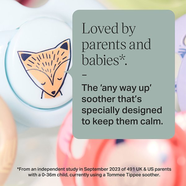 Tommee Tippee CTN Fun Soother 18-36 months