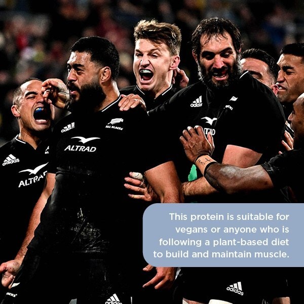 DNR HEALTHSPAN PLANT PROTEIN VGN 750G CHOC