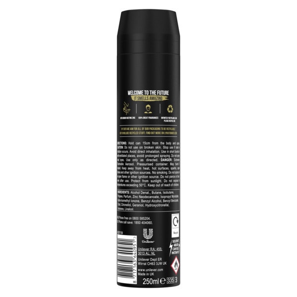 Lynx Aerosol Bodyspray Xxl Gold 250ml