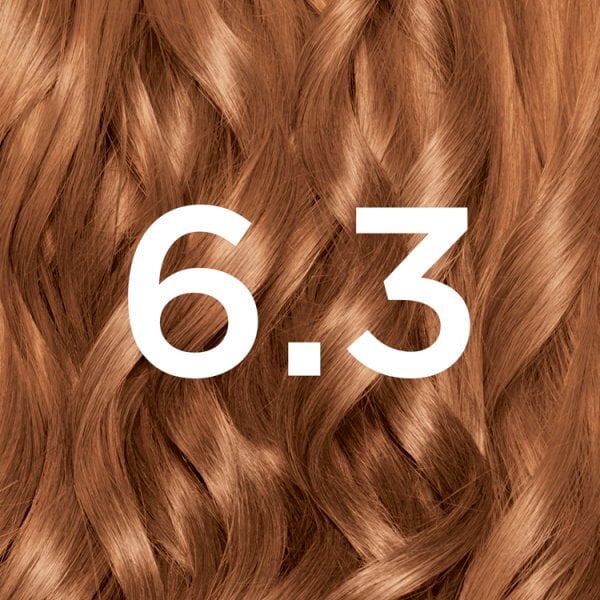 Garnier Nutrisse Permanent Hair Dye Golden Light Brown 6.3