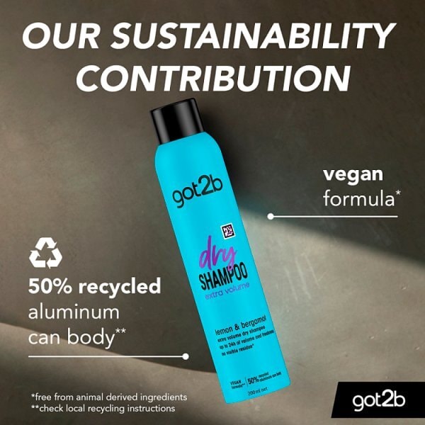 Got2B Fresh It Up Volume Dry Shampoo 200ml