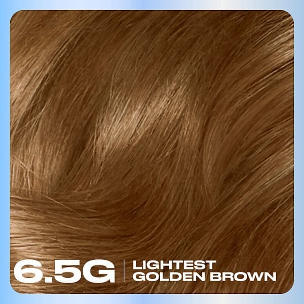 Clairol Nice'N Easy Crème Permanent Hair Dye 6.5G Lightest Gold Brown