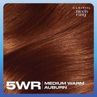 Clairol Nice'n Easy Hair Dye 5WR Medium Warm Auburn