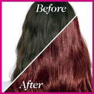 Casting Creme Gloss 550 Mahogany Semi Permanent Hair Dye