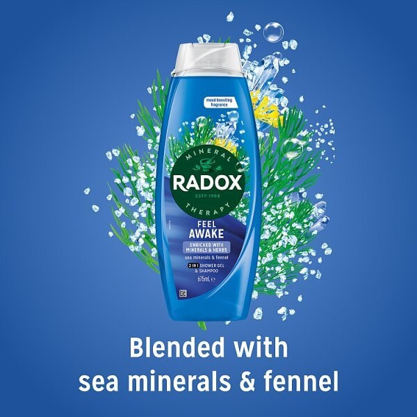 Radox Feel Awake 2-in-1 Shower Gel & Shampoo 675 ml