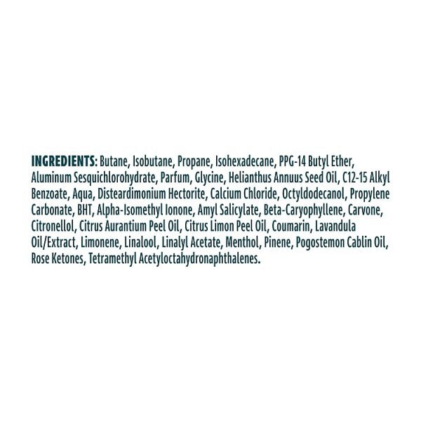 Sure Men Nonstop Protection Iced Lemon & Sage Aerosol Deodorant 250ml
